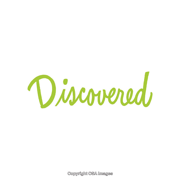 Stylish Green Discovered Text on a Clean White Background