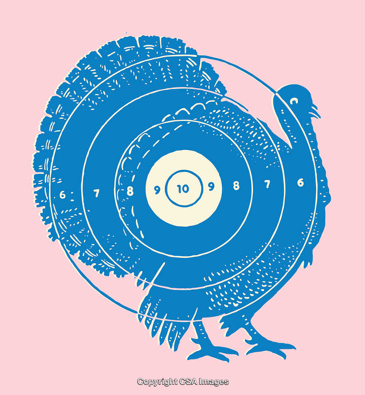 Blue Turkey Line Art Illustration With Target Overlay on Pink Background