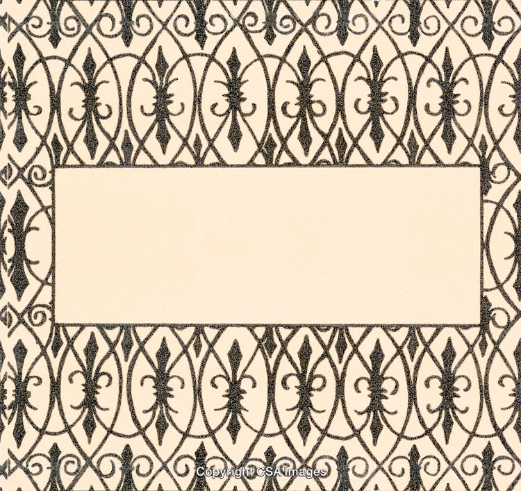 Intricate Ornamental Frame Design Featuring Decorative Black Iron Patterns