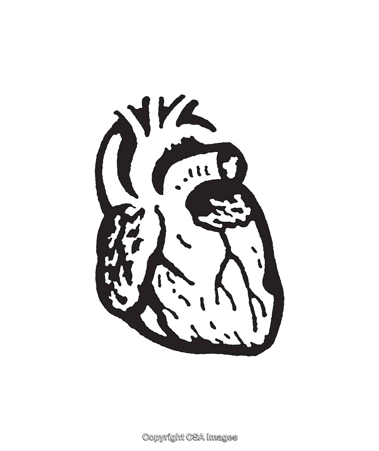 Detailed Black and White Line Art Heart Illustration