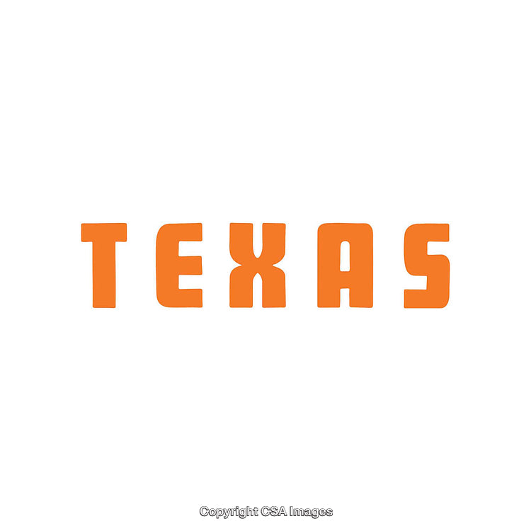 Bold Orange Texas Typography Design on a Crisp White Background