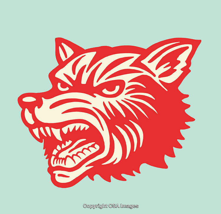 Colorful Styled Line Art Illustration of a Fierce Wolf Profile