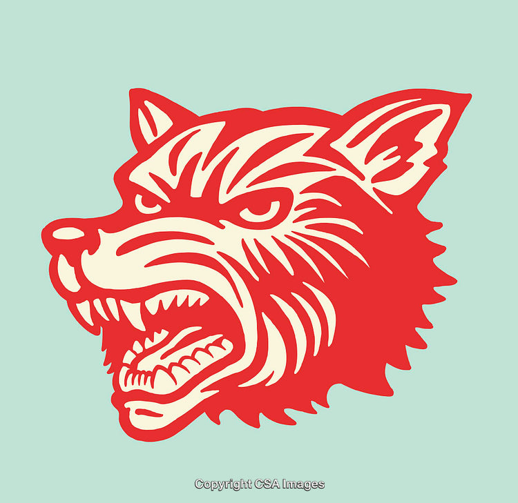 Colorful Styled Line Art Illustration of a Fierce Wolf Profile