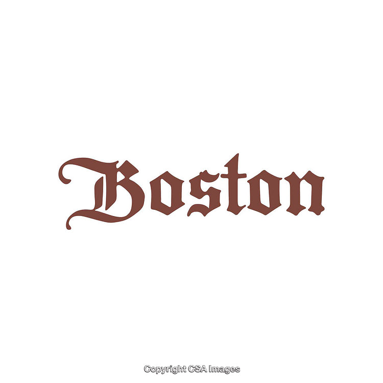Stylized Text Logo Featuring 'Boston' in Decorative Fonts