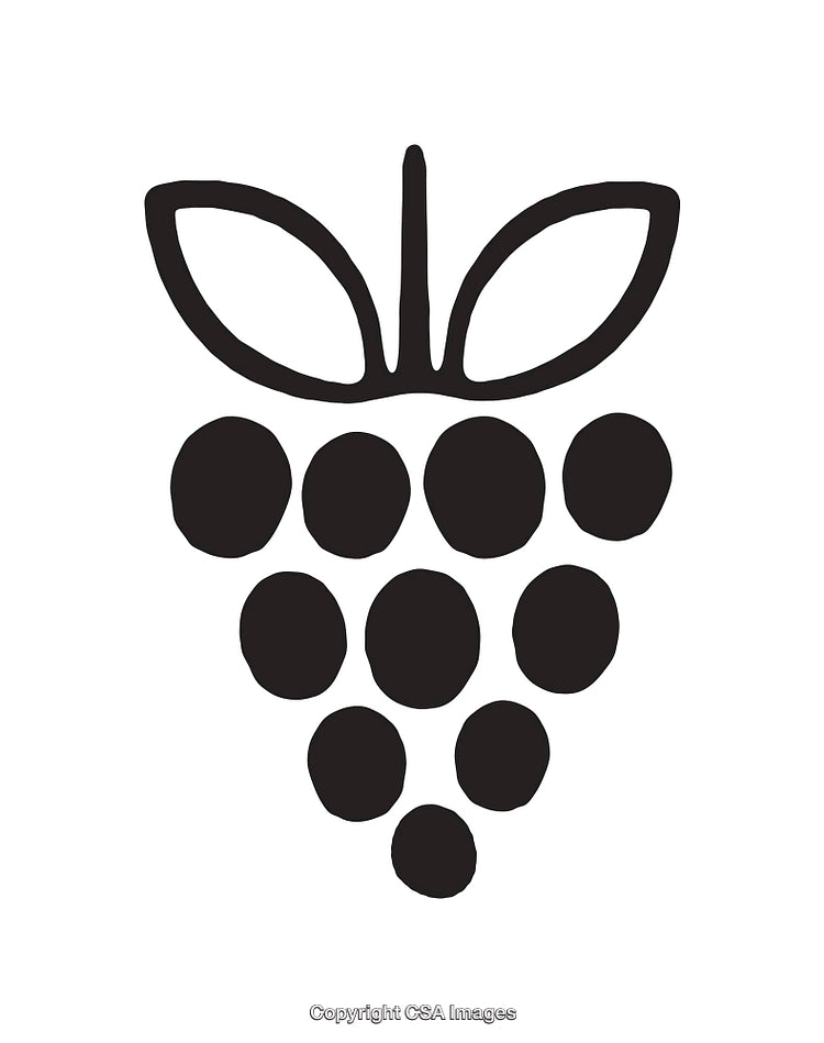 Black And White Grapes Line Art Illustration With Leaves