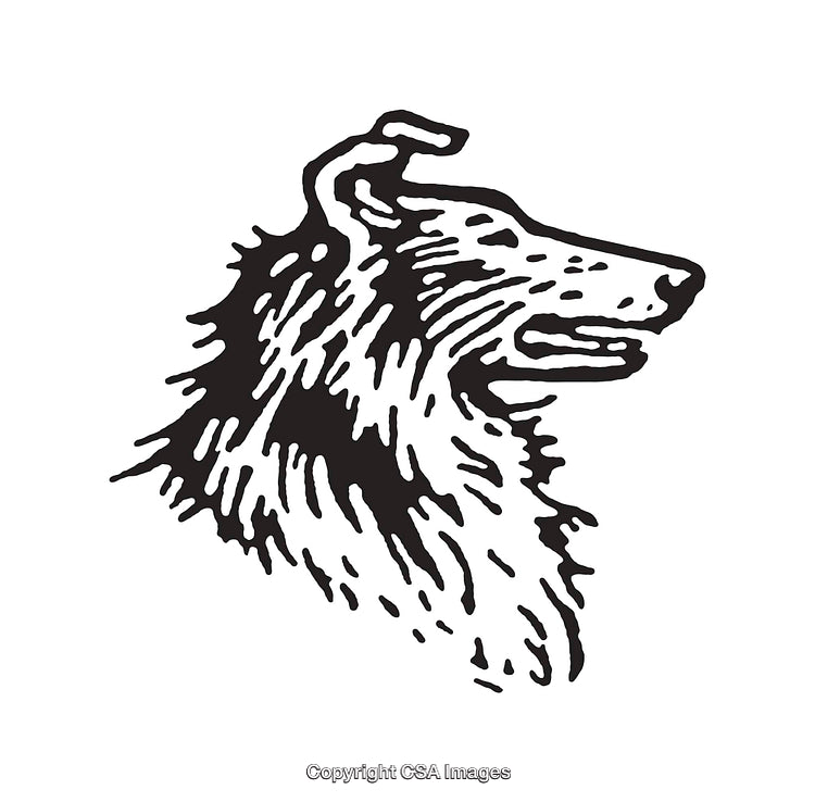 Detailed Black and White Line Art Illustration of a Dog’s Profile