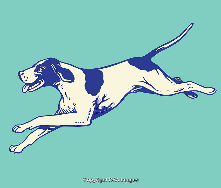 Energetic Hound Dog Illustration in Vibrant Colors Mid-Leap