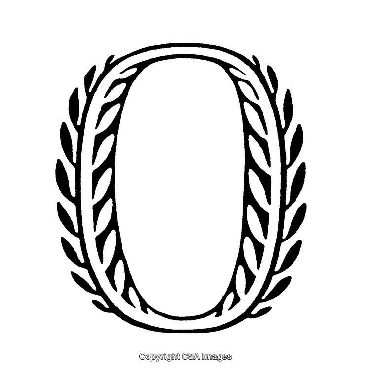 Elegant Black and White Border with Decorative Laurel Design