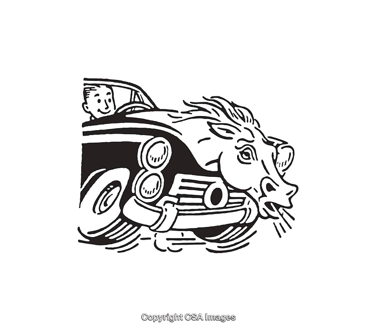 Black And White Line Art of A Car Driving Encountering A Bull