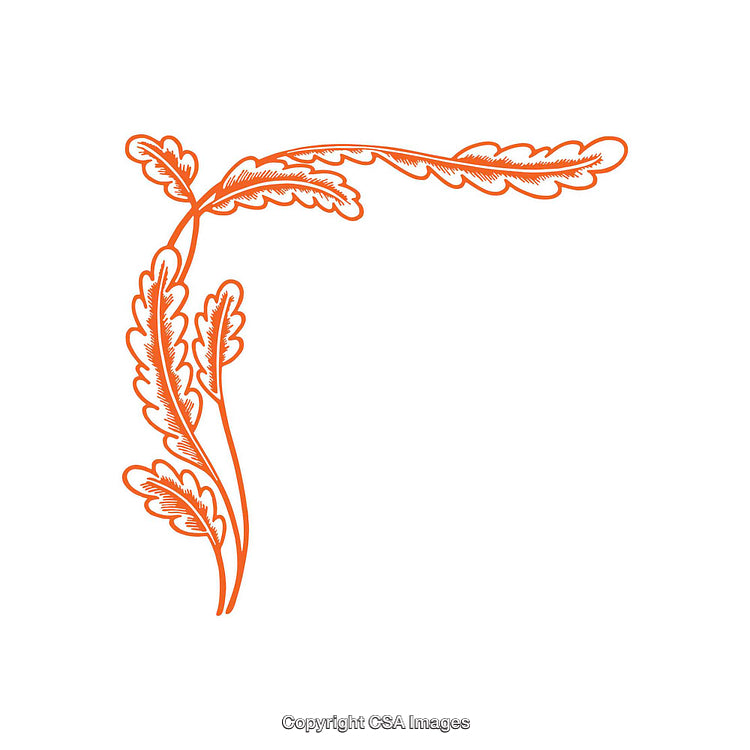 Orange Botanical Design Element with Floral Leaf Motif on White Background