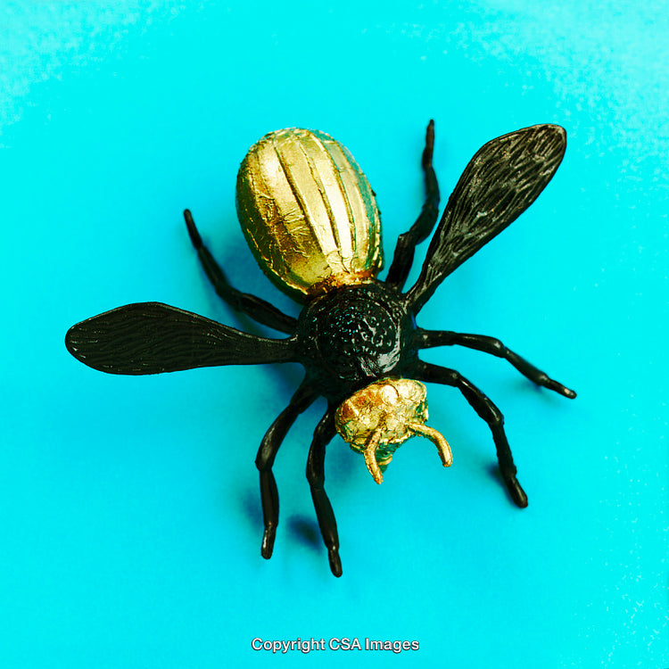 Golden and Black Insect Model on Blue Background Close-Up
