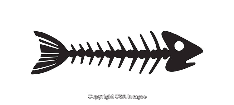 Black and White Fish Skeleton Line Art Illustration
