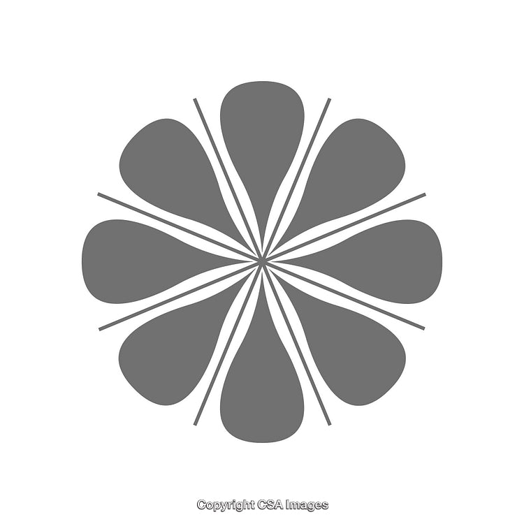 Gray Decorative Flower Shape with Symmetrical Abstract Design Elements