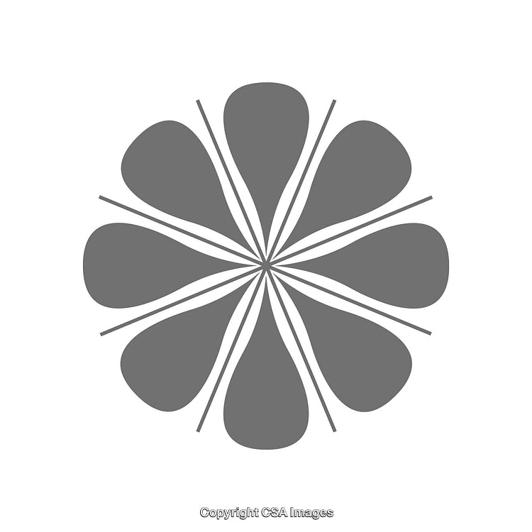 Gray Decorative Flower Shape with Symmetrical Abstract Design Elements