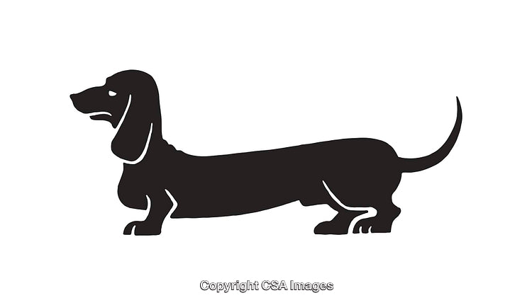 Black and White Silhouette of a Long Dachshund Dog