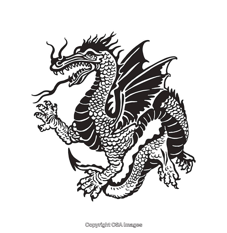 Black and White Line Art Illustration of a Mythical Winged Dragon