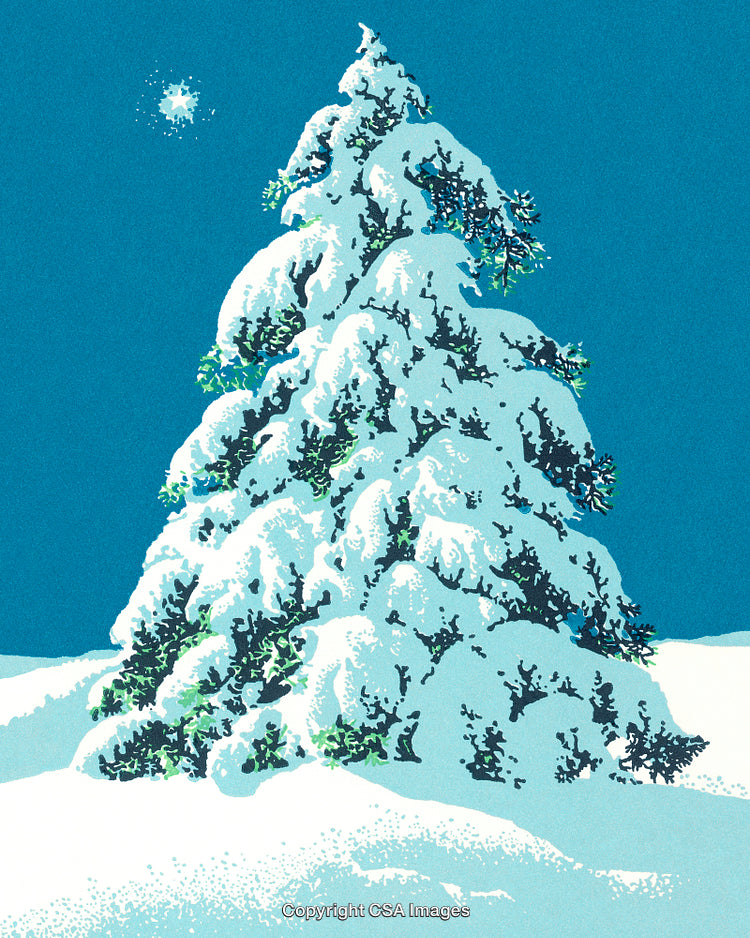 Snow Covered Pine Tree Under a Clear Blue Winter Sky