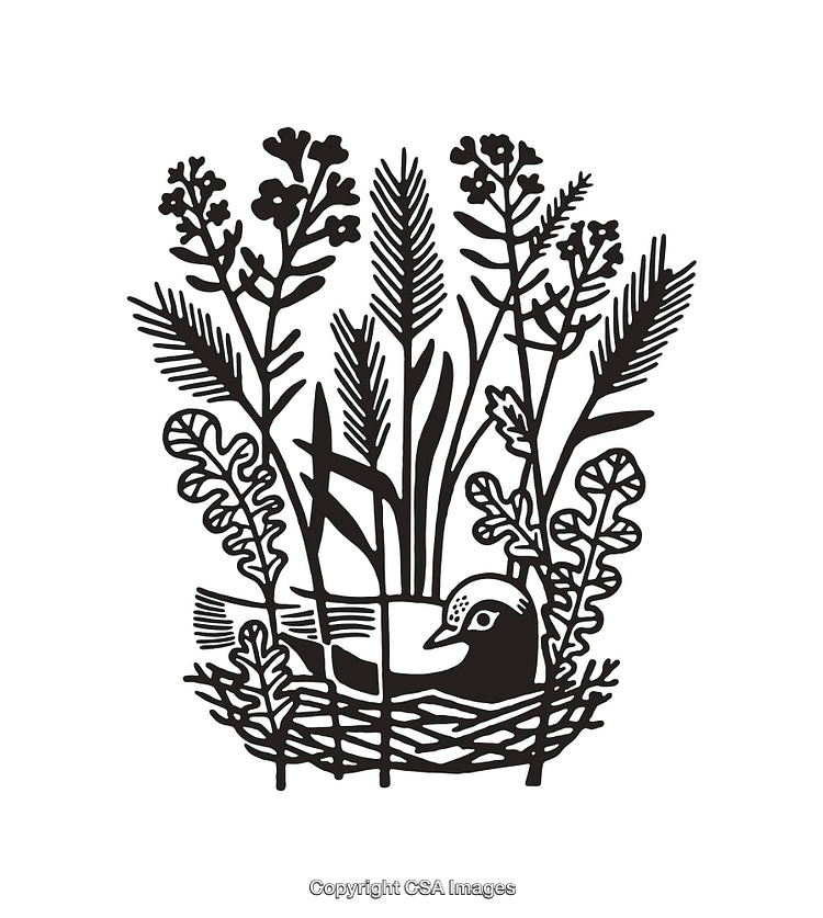 Intricate Black and White Line Art of Nature and Bird Silhouette