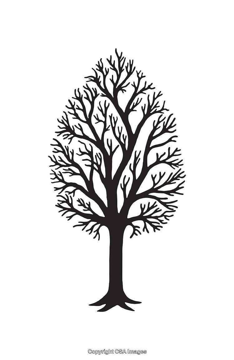 Stylized Black and White Silhouette of a Bare Tree Illustration
