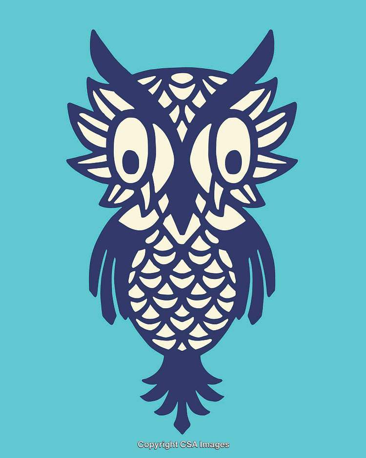 Colorful Ornamental Line Art Illustration of an Owl on Teal Background