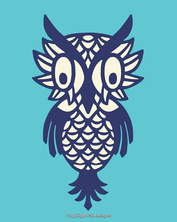 Colorful Ornamental Line Art Illustration of an Owl on Teal Background