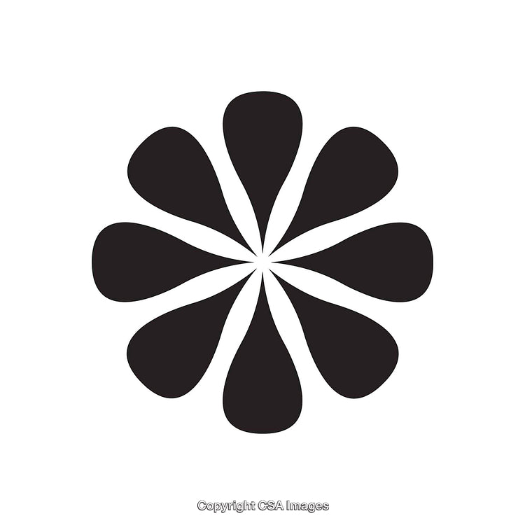 Black and White Abstract Eight-Petaled Flower Shape Icon with Symmetry