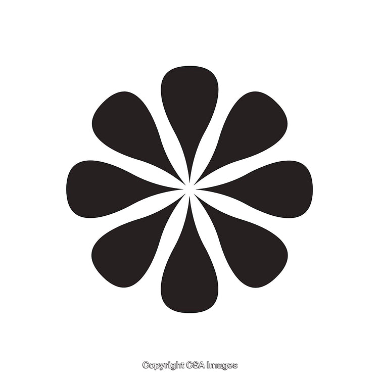Black and White Abstract Eight-Petaled Flower Shape Icon with Symmetry