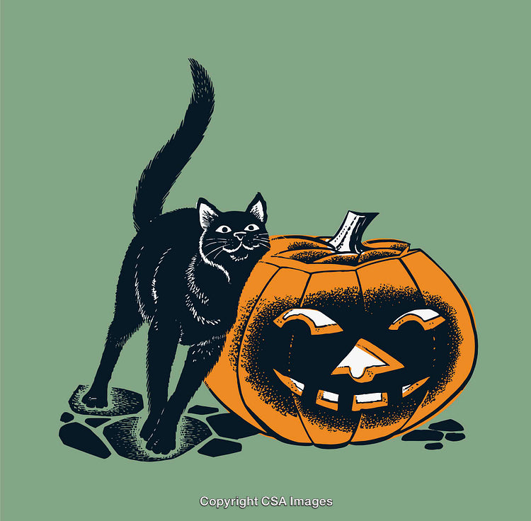 Black Cat and Carved Pumpkin Halloween Illustration on Green Background
