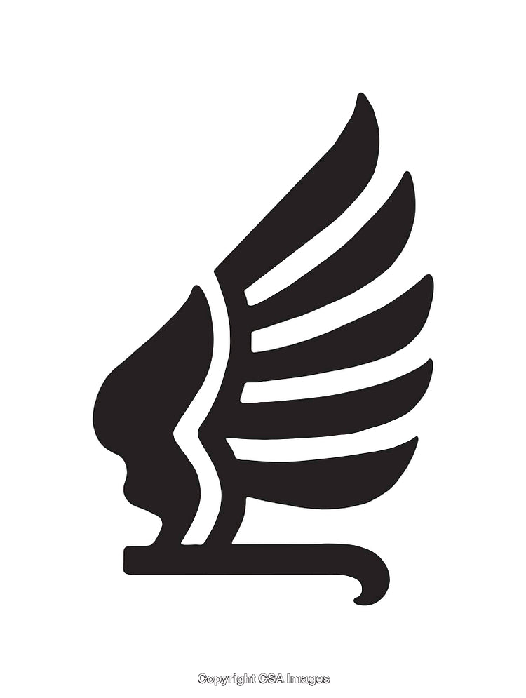 Minimalist Black and White Wing Profile Line Art Design