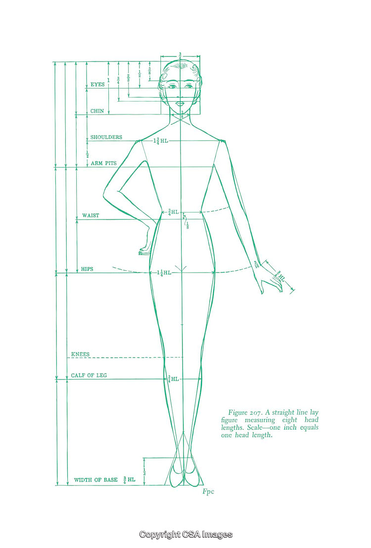 Fashion Proportional Diagram Depicting Eight Head Length Measurements