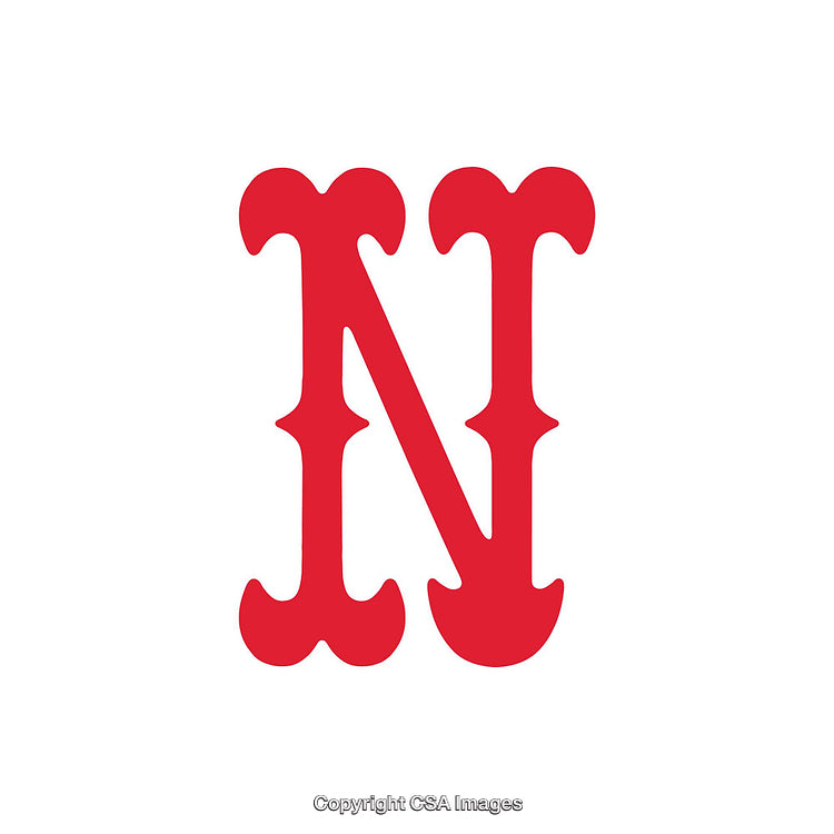 Elegant Red Letter N Design with Ornate Typeface and White Background