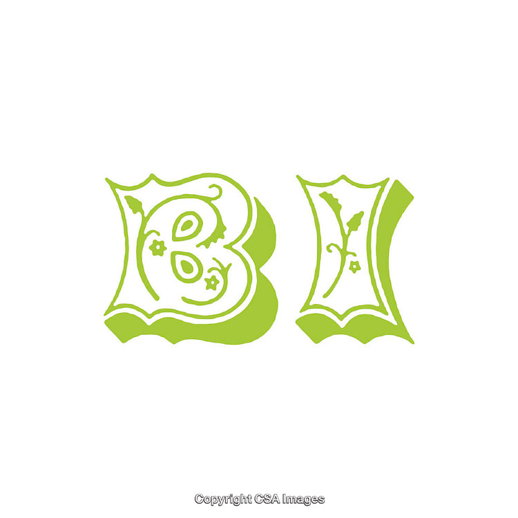 Green Intricate Decorative Alphabet Letters with Floral Patterns and Elegant Style