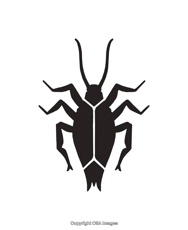 Black Silhouette of a Insect in Simple Vector Style