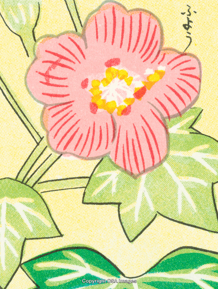 Vibrant Illustration of a Pink Hibiscus Flower on a Yellow Background