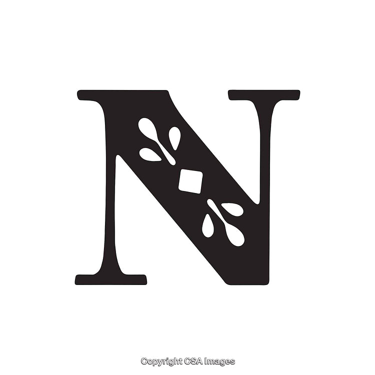 Decorative Capital Letter N with Elegant Ornament Design on White Background