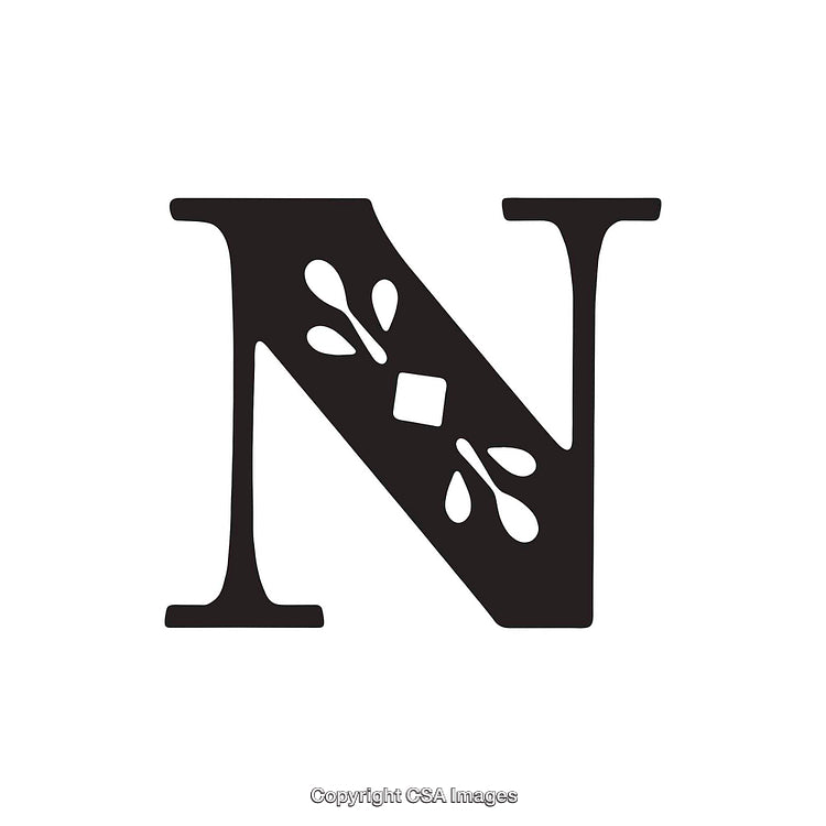 Decorative Capital Letter N with Elegant Ornament Design on White Background