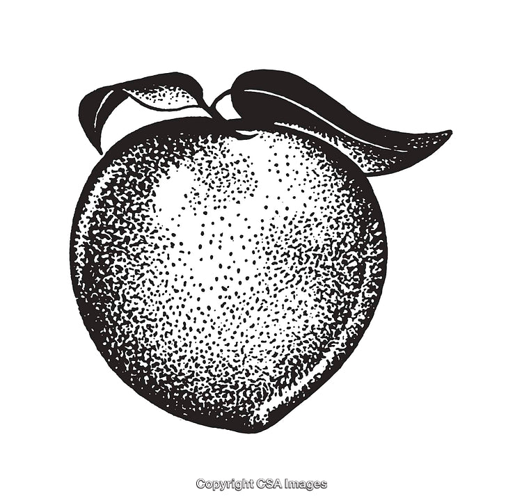 Black and White Line Art Illustration of a Peach with Leaves