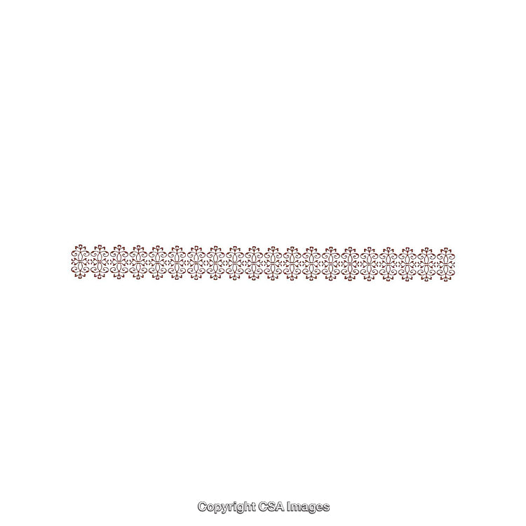 Intricate Brown Floral Border on White Background with Elegant Design Elements