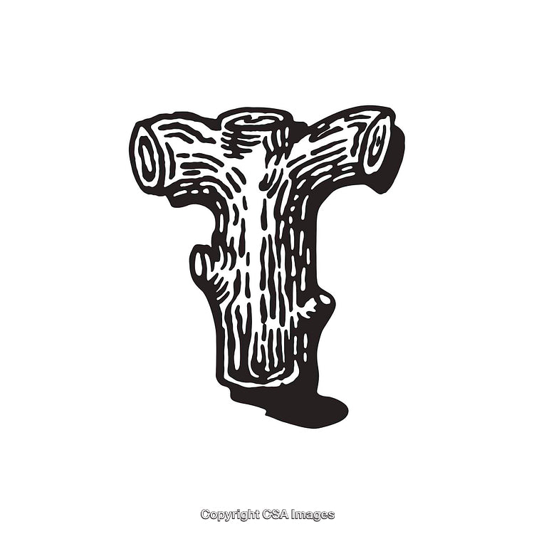 Rustic Vintage Letter T Illustrated Tree Trunk Style Design