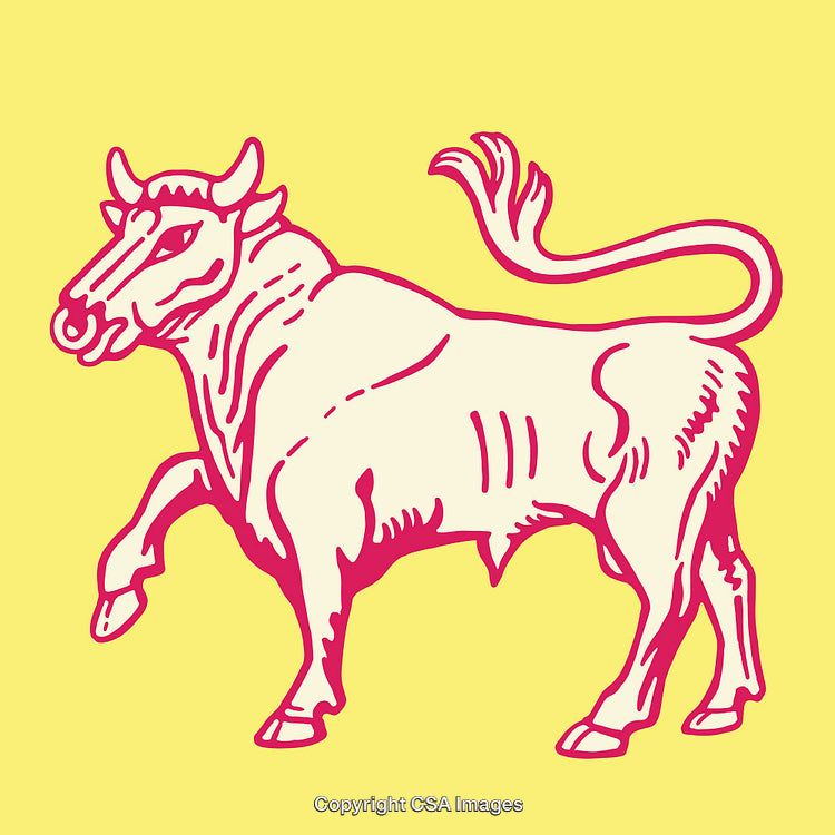 Colorful Line Art Illustration of a Bull in a Vibrant Design