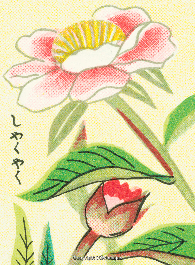 Illustration of Vibrant Blooming Flowers with Delicate Details and Green Leaves