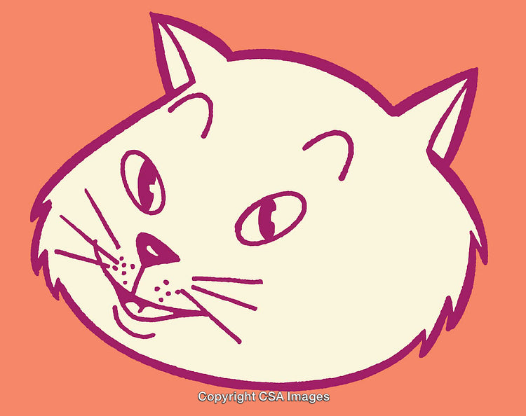 Playful Cat Face Line Art Illustration on Vibrant Background