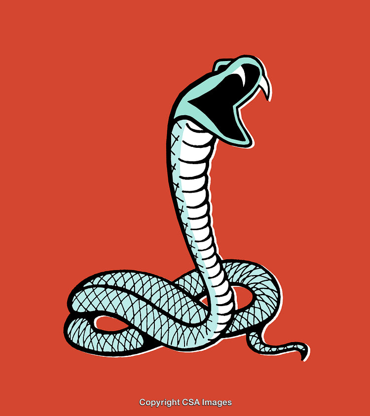 Illustrated Cobra Snake on Red Background with Open Hood and Dynamic Pose