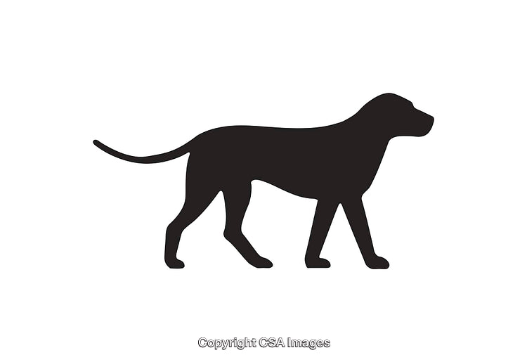Silhouette Illustration of a Walking Dog in Black and White Design