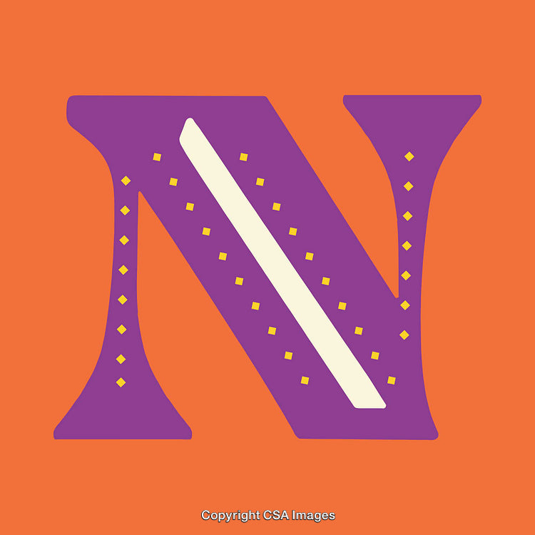 Stylized Letter N in Vibrant Colors with Decorative Elements