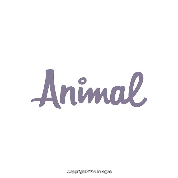 Purple Script Word Art Featuring the Term 'Animal' on White Background