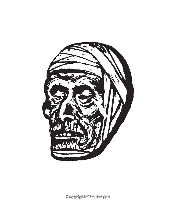 Detailed Black and White Illustration of a Mummy's Decayed Head