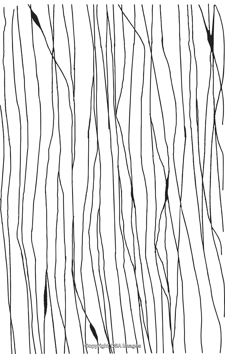 Monochrome Linear Abstract Pattern with Elegant Black and White Design