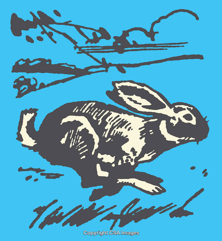 Illustrated Colorful Rabbit in Motion With Vibrant Background