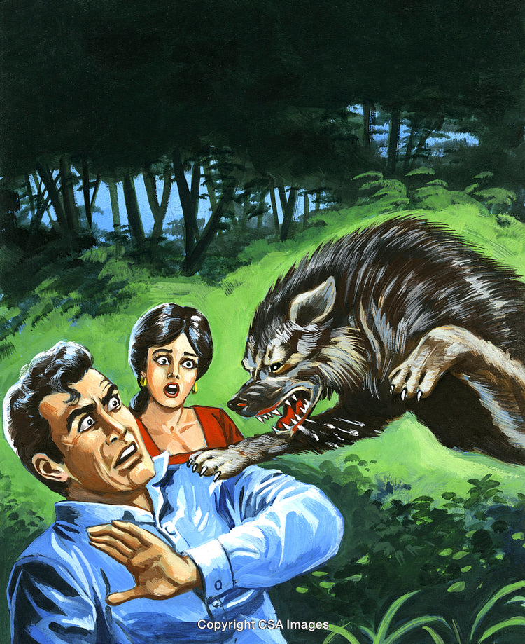 Frightened Couple Facing Aggressive Wolf Attack in Forested Area